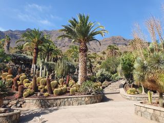1740952256_2020-10-GC-Cactualdea-PM-NN-00.jpg